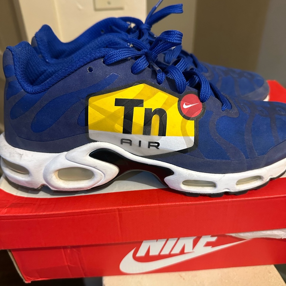 Nike Kids Blue Tn Air Sneakers